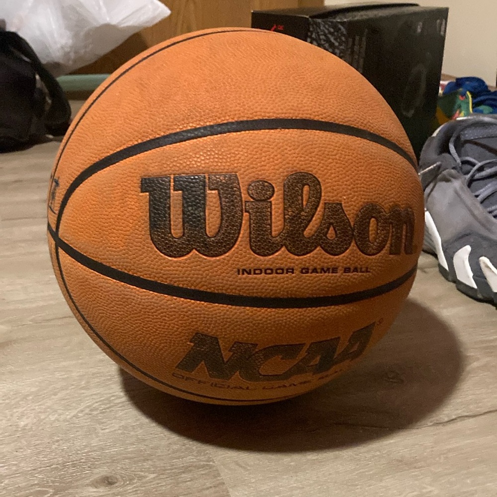 Wilson Indoor Basketball
